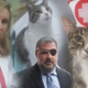 Illustration for article titled iCat Hospital/i infuses feline cuteness into a soap opera drama